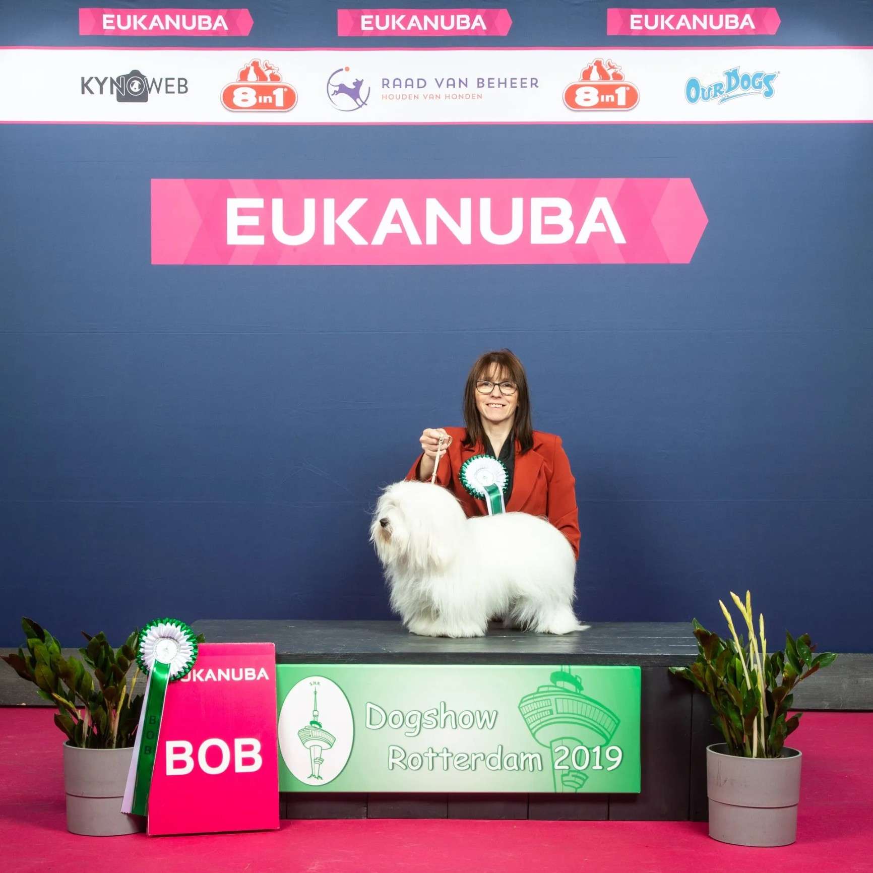 Eukanuba pup of the clearance year 2019