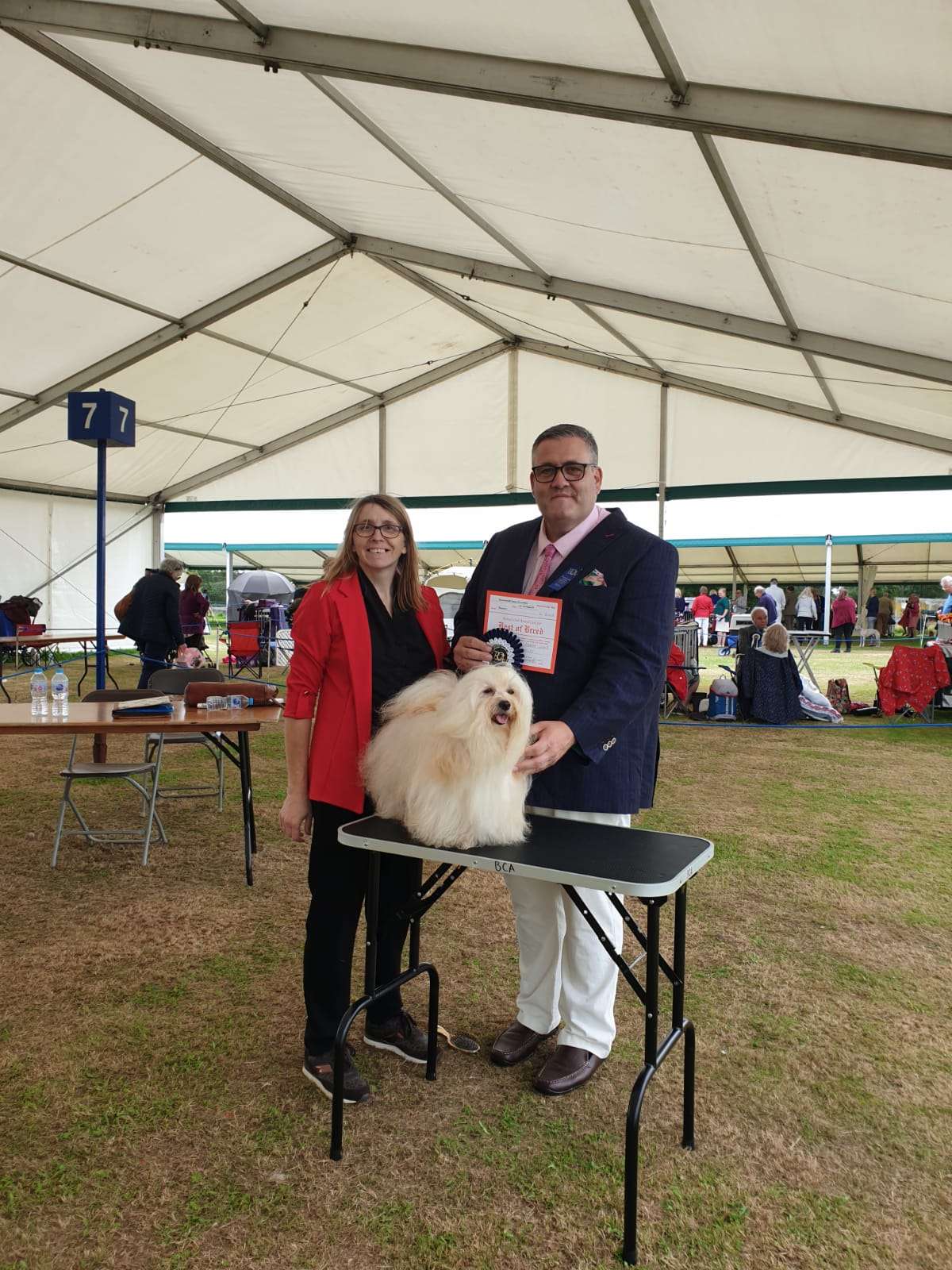 Adorele A Perfect World - Bournemouth Canine Association - Sun, 15 August 2021
