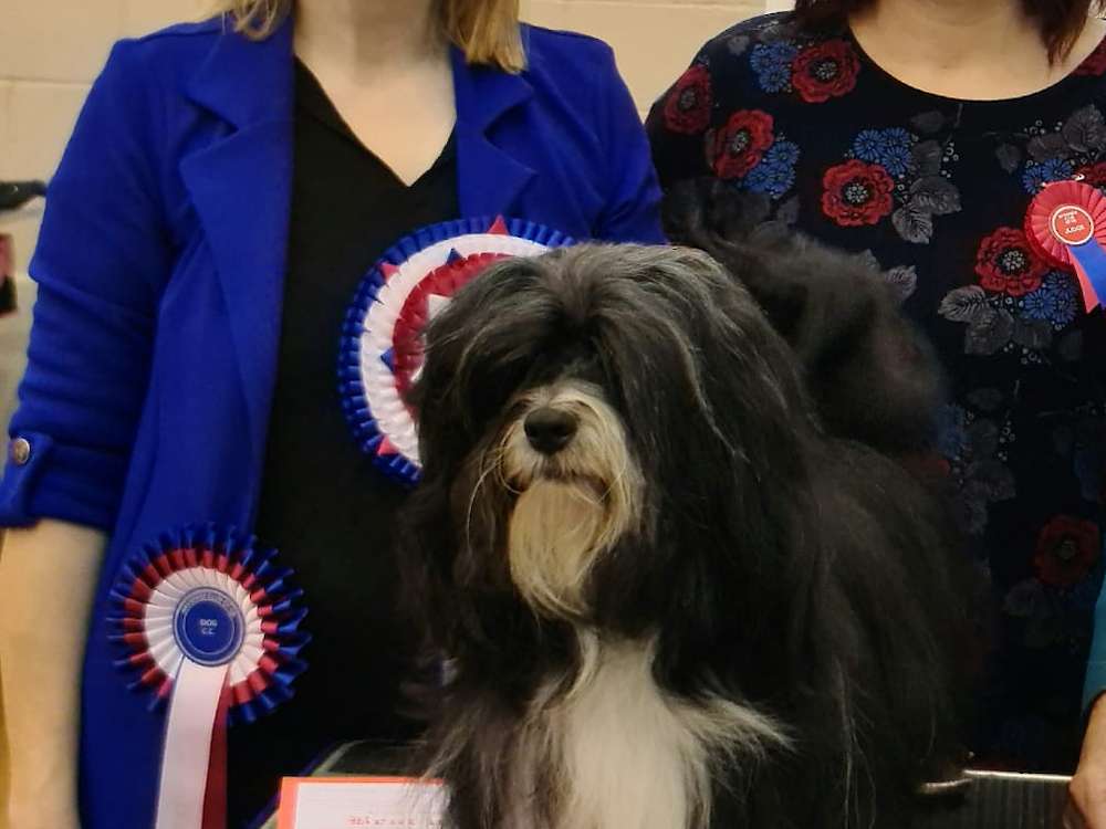 JP wins Best in Show!