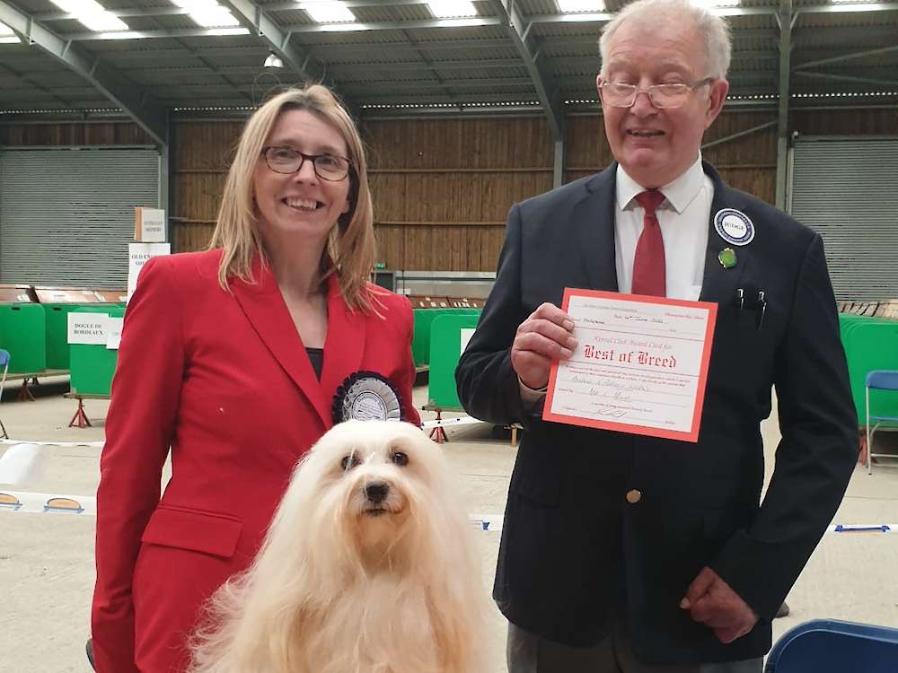 Lexie wins Best of Breed in 2022!