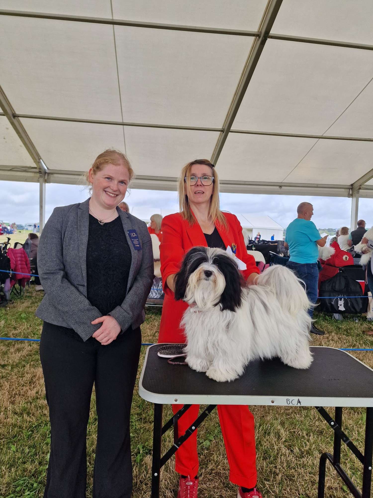 Adorele What A Legend - Bournemouth Canine Association - Sat, 12 August 2023