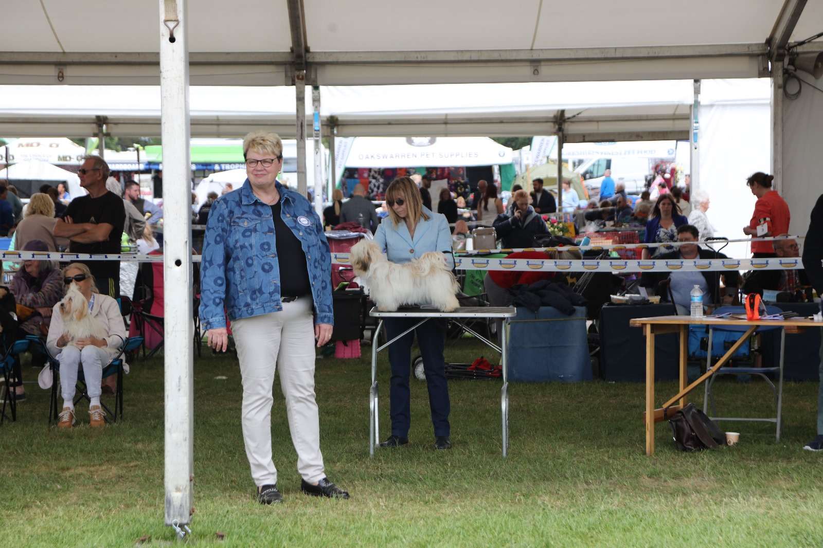 Adorele All I Ask Of You - Southern Counties Canine Association Championship Show - Sun, 1 June 2025